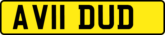 AV11DUD