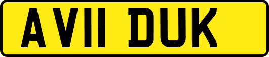 AV11DUK