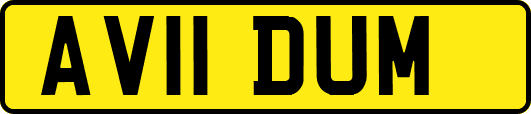 AV11DUM