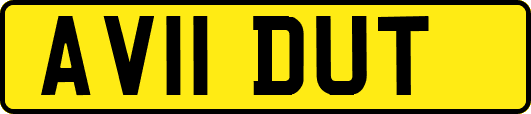 AV11DUT
