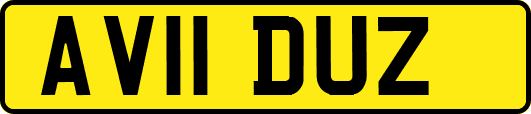 AV11DUZ