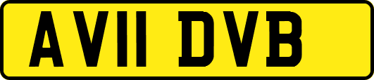 AV11DVB