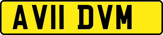 AV11DVM