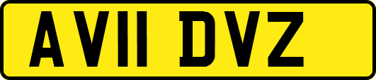 AV11DVZ
