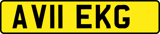 AV11EKG