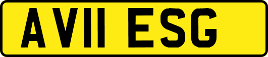 AV11ESG