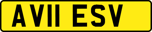 AV11ESV