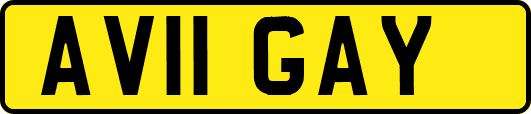 AV11GAY