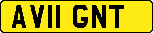 AV11GNT