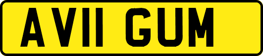 AV11GUM