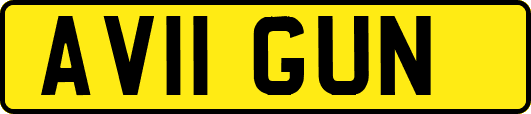 AV11GUN