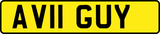 AV11GUY