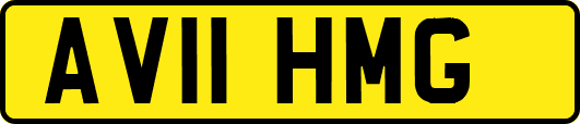 AV11HMG