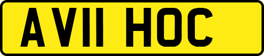 AV11HOC
