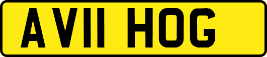 AV11HOG