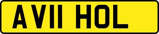 AV11HOL