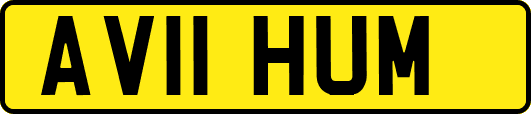 AV11HUM
