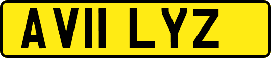 AV11LYZ