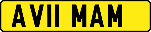 AV11MAM