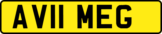 AV11MEG