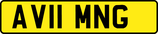AV11MNG