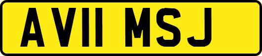 AV11MSJ