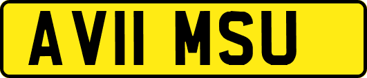 AV11MSU