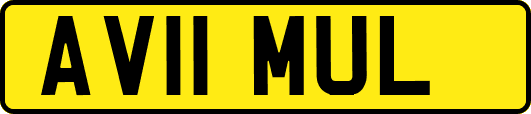 AV11MUL