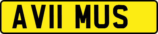 AV11MUS