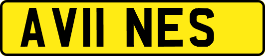 AV11NES