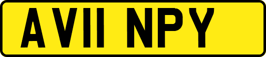 AV11NPY