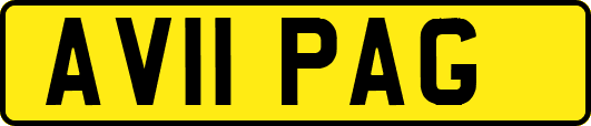 AV11PAG