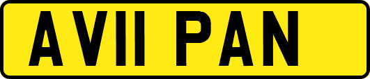 AV11PAN