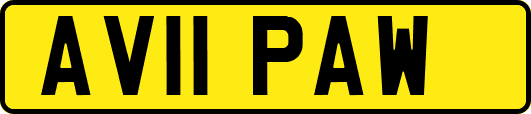AV11PAW