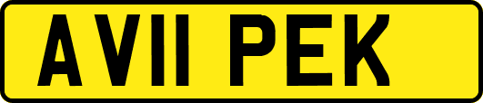 AV11PEK