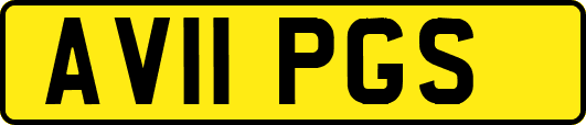 AV11PGS
