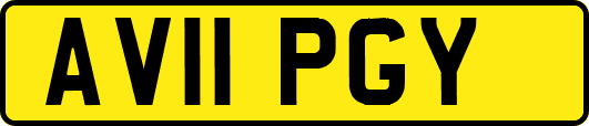 AV11PGY