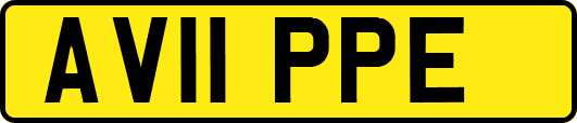 AV11PPE