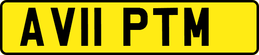 AV11PTM