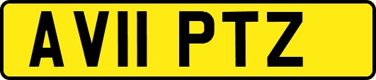 AV11PTZ