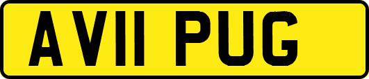 AV11PUG