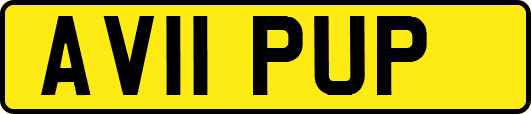 AV11PUP