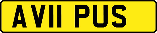 AV11PUS