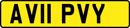 AV11PVY