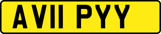 AV11PYY