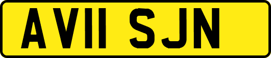 AV11SJN