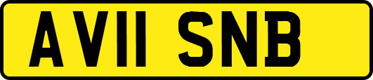 AV11SNB