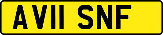 AV11SNF