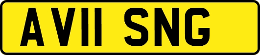 AV11SNG