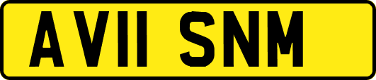 AV11SNM